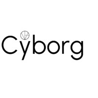 cyborg consulting germany logo - Similar company to Cyborg