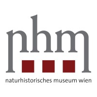 Naturhistorisches Museum Wien logo - Similar company to Mumok - Museum Moderner Kunst Stiftung Ludwig Wien