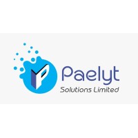 Paelyt logo - Similar company to Kcl Consulting Ltd.
