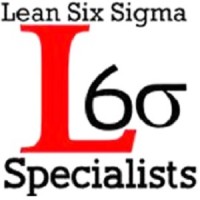 Lean Six Sigma Specialists logo - Similar company to Bes Solutions, Inc.