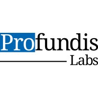 Profundis Labs GmbH & Co. KG logo - Similar company to Cybersecurity Moosmüller