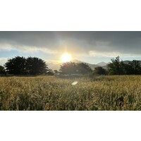 The Wellness Farm logo - Similar company to Simple Rfid | Inventory Management Made Simple