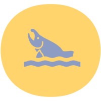 CoHoS Network logo - Similar company to Cohos