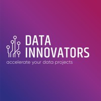 Data Innovators logo - Similar company to Posthuma Partners