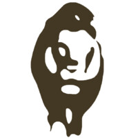 Desert Lion Conservation logo - Similar company to Echappée Namibienne