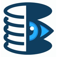Datum Vision | Data Management & Analytics Experts logo - Similar company to Creditland.Bg