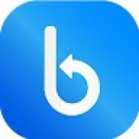 Blip