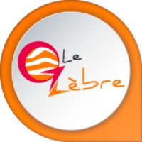 ZEBRE & CO logo - Similar company to Cap 217°