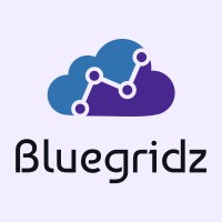 Bluegridz logo - Similar company to Excelerate