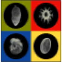 Biostratigraphy.com, LLC logo - Similar company to Paleo Data, A Petrostrat Company