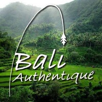 Bali Authentique logo - Similar company to Needl