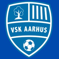 VSK Aarhus logo - Similar company to User It