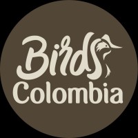 Birds Colombia logo - Similar company to Go Explore Colombia