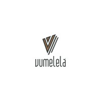 Vumelela Batoka Holdings logo - Similar company to Minexec