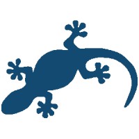 Blue Gecko Architecture