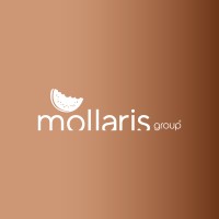 Clínicas Mollaris logo - Similar company to Clínica Mota