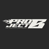 Project B Llc