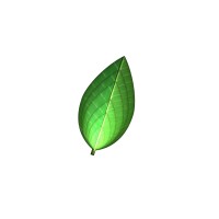 Birch Caring Capital Ltd