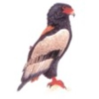 JRichards & Associates logo - Similar company to Synergos Venture Partners