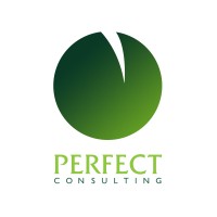 Perfect Consulting logo - Similar company to Grupa Cds