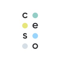 CESO Communications logo - Similar company to Ohio School Public Relations Association