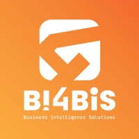 BI4BIS logo - Similar company to Ai4Bis