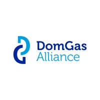 DomGas Alliance logo - Similar company to Mid West Gascoyne Industries Council Inc