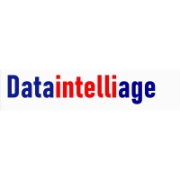 Dataintelliage logo - Similar company to Nmbr Systems