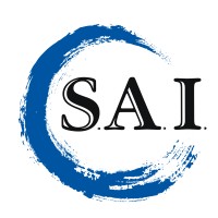 Secure American Insurance, Inc. logo - Similar company to Safe & Secure Insurance Advisor