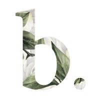 Plan B Events logo - Similar company to Plan B Group