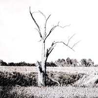 Glorious Alone Productions logo - Similar company to Proposell