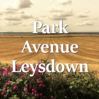 Park Avenue Holiday Village, Leysdown logo - Similar company to Hilbery Chaplin