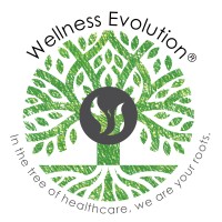 Wellness Evolution logo - Similar company to Warrior Wellness Program