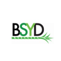 BSYD Corporation