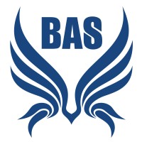 Business Acquisition Solutions logo - Similar company to Business Acquisition Experts