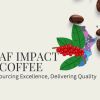 AF Impact Coffee logo - Similar company to Rc Corner Trading Llc