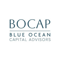 Blue Ocean Capital Advisors logo - Similar company to Soliquid
