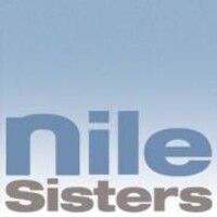 Nile Sisters Development Initiative (NSDI) logo - Similar company to S&T Communications