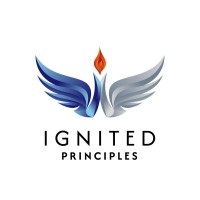 Ignited Principles logo - Similar company to 41 North Digital