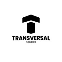 Transversal Records / Studio logo - Similar company to Safetics Sas