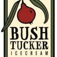 Bushtucker Icecream logo - Similar company to Raindrop Icecream