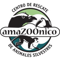 Amazoonico Wildlife Rescue Center logo - Similar company to The Sloth Conservation Foundation