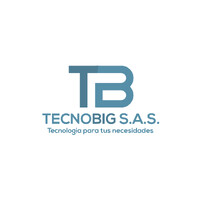 TECNOBIG logo - Similar company to Talentos Conscientes