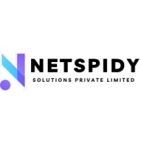 Netspidy Solutions Private Limited logo - Similar company to Ninjabytes