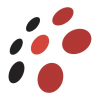 Avrage Media logo - Similar company to Gruppo Ideapm