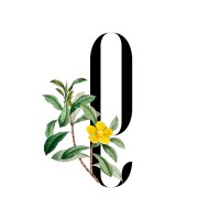 Eman Sélim Designs logo - Similar company to Aziz Enterprises