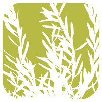 Olivaia's OLA logo - Similar company to Kleargo