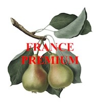 France Premium logo - Similar company to Bkcp