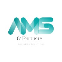 AMS & Partners Consulting Ltd logo - Similar company to Piney