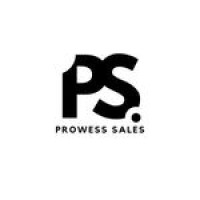 Prowess Sales (FKA TSG) logo - Similar company to Backpackemr By Binary Bridge